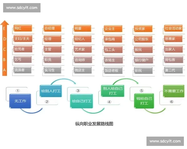 面向未来的职业发展路径规划与个人核心竞争力提升策略研究实践指南