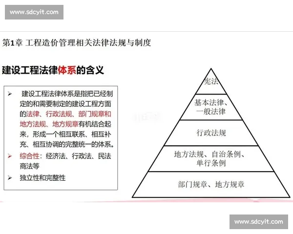以弃权为核心的法律效力与实践分析：对相关制度的深度探讨